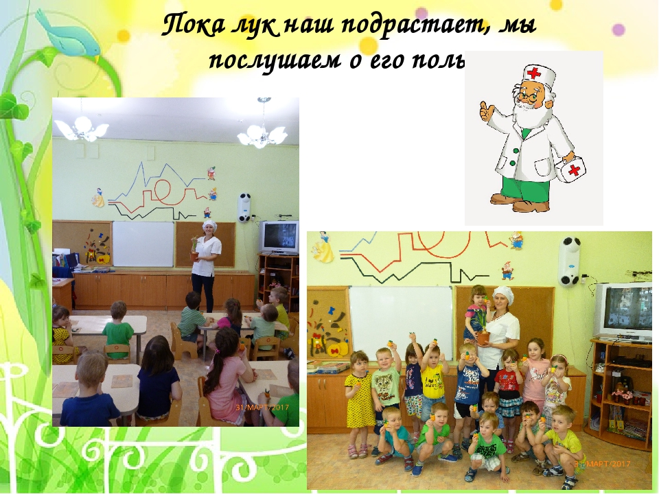 Презентация по социально-коммуникативному развитию дошкольников "Выращиваем Чиполлинок"