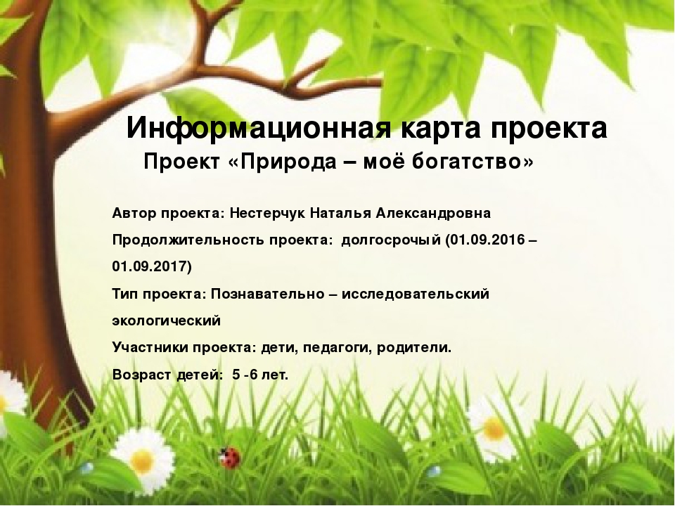 Презентация к проекту "Природа - моё богатство "