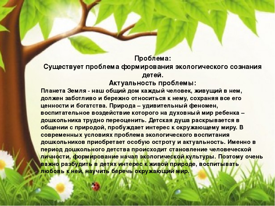 Презентация к проекту "Природа - моё богатство "