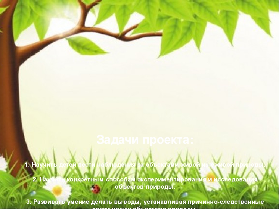 Презентация к проекту "Природа - моё богатство "