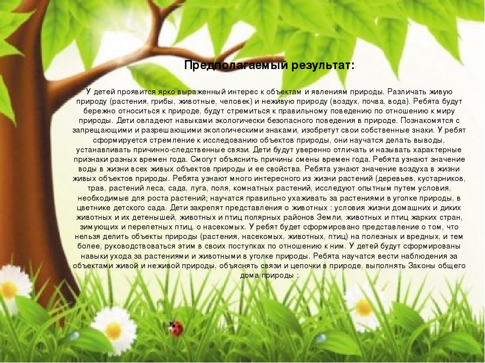 Презентация к проекту "Природа - моё богатство "