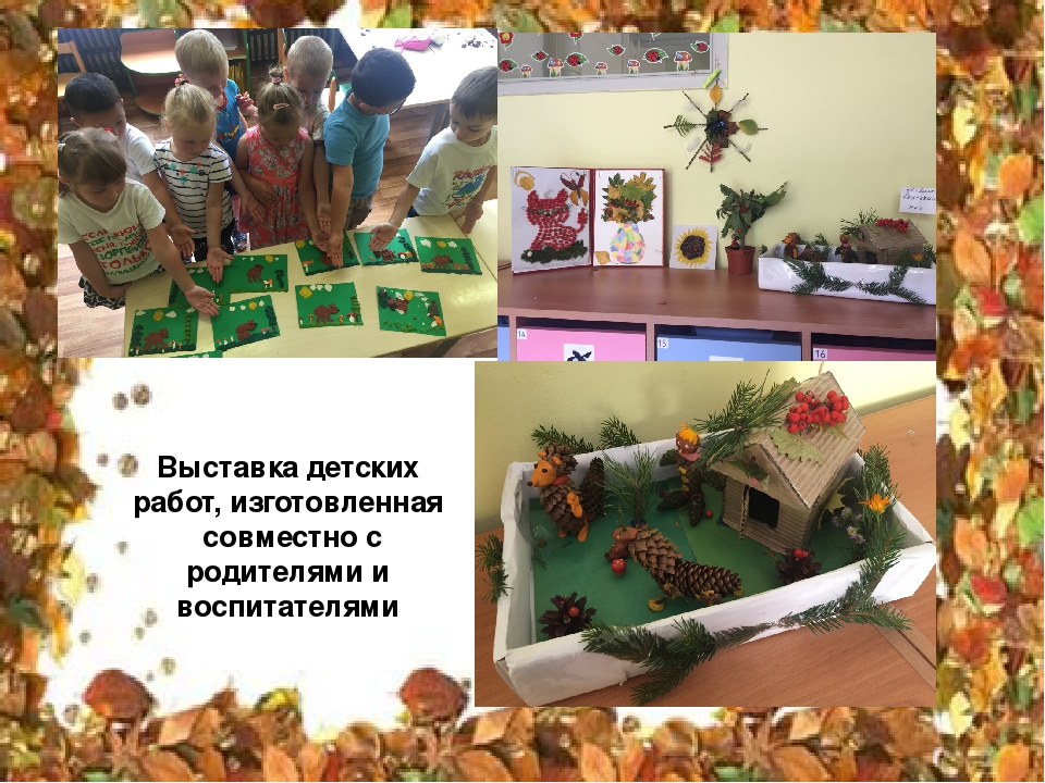 Презентация к проекту "Природа - моё богатство "