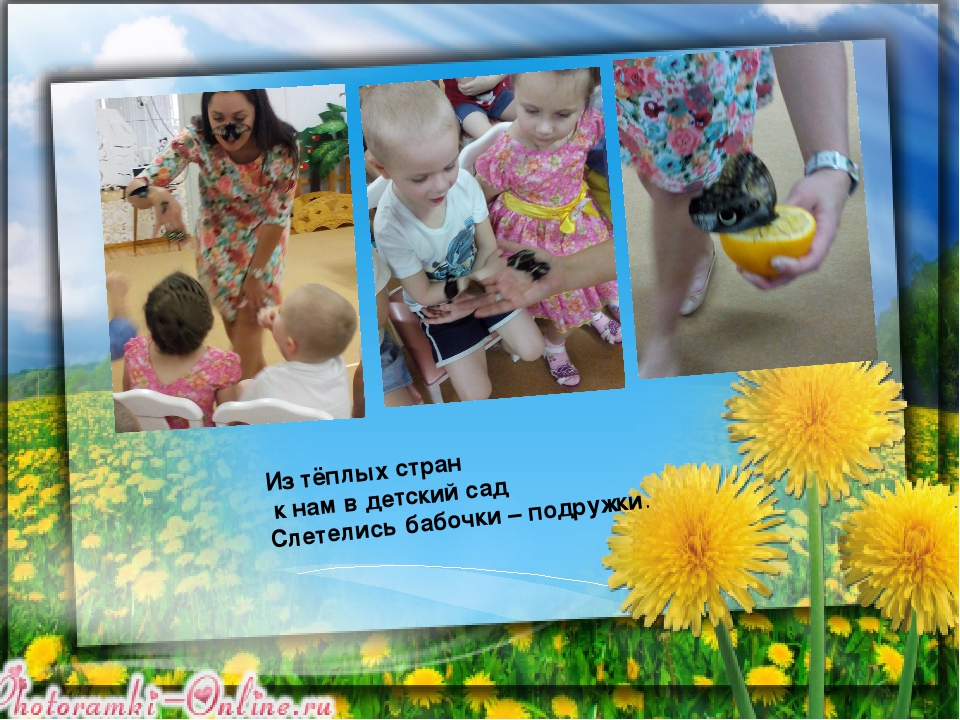 Презентация к проекту "Природа - моё богатство "