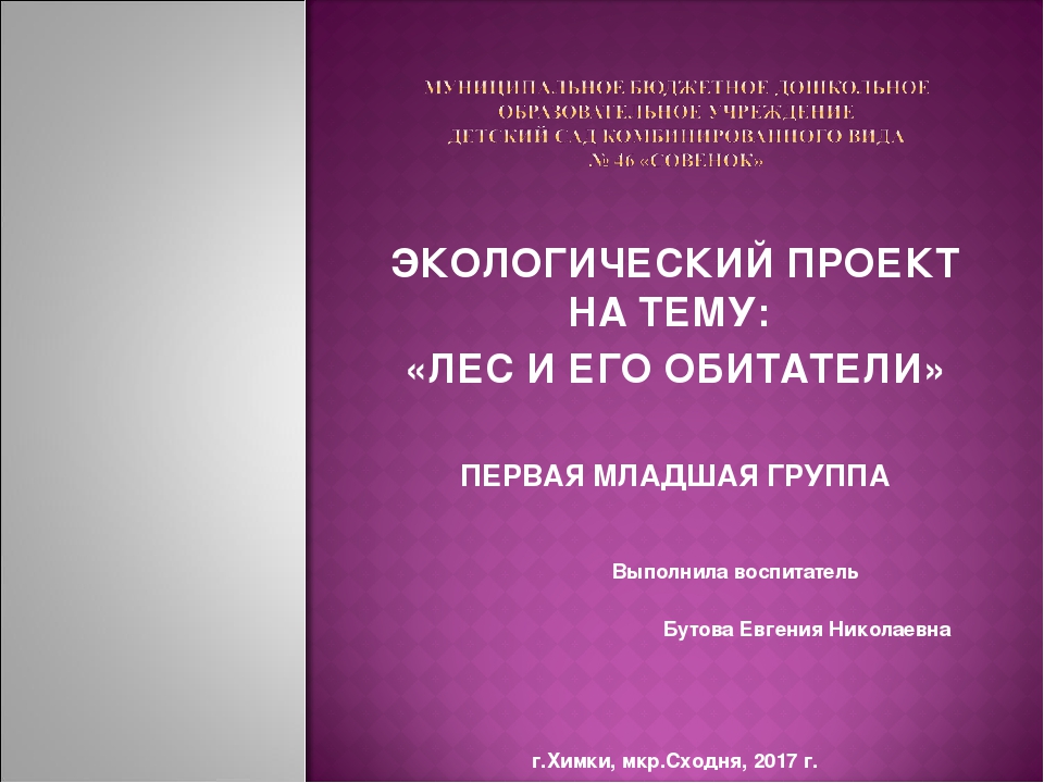 Презентация экологического проекта на тему: "Лес и его обитатели"