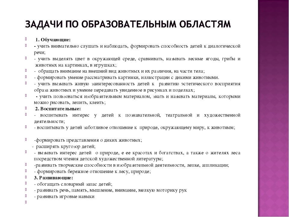 Презентация экологического проекта на тему: "Лес и его обитатели"
