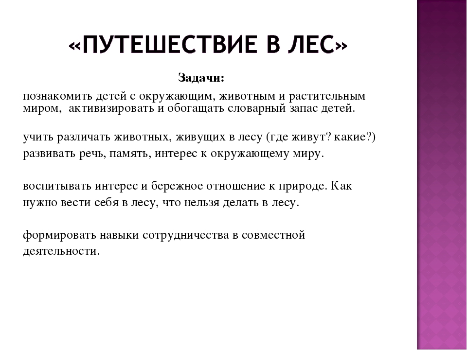 Презентация экологического проекта на тему: "Лес и его обитатели"