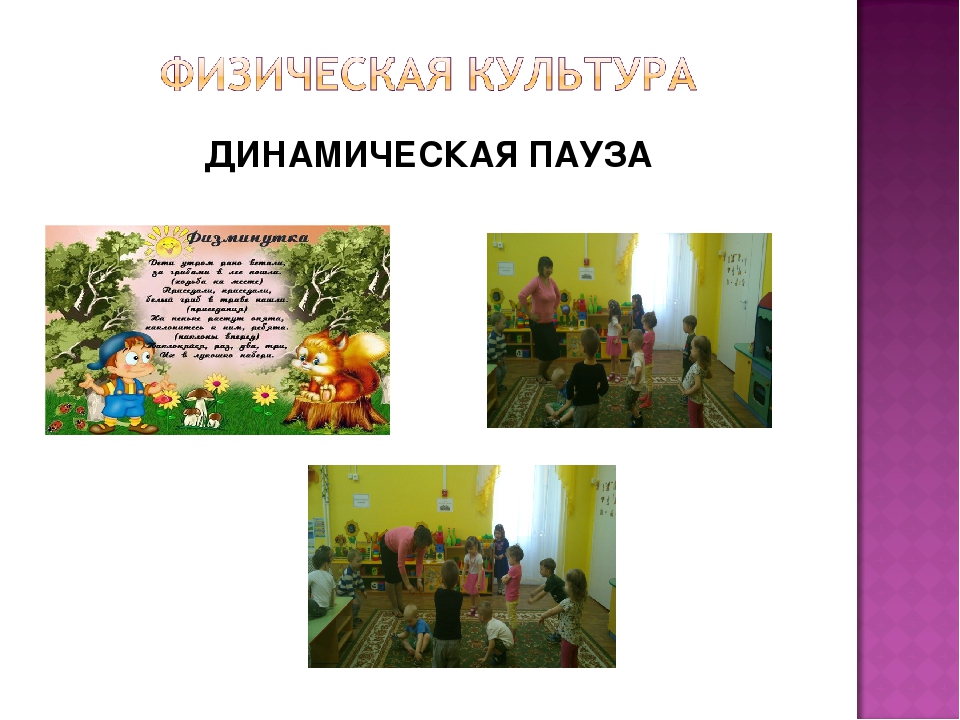 Презентация экологического проекта на тему: "Лес и его обитатели"