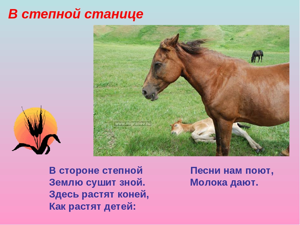 Презентация "Моя Родина - Россия"