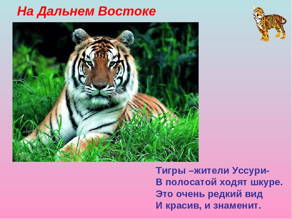 Презентация "Моя Родина - Россия"
