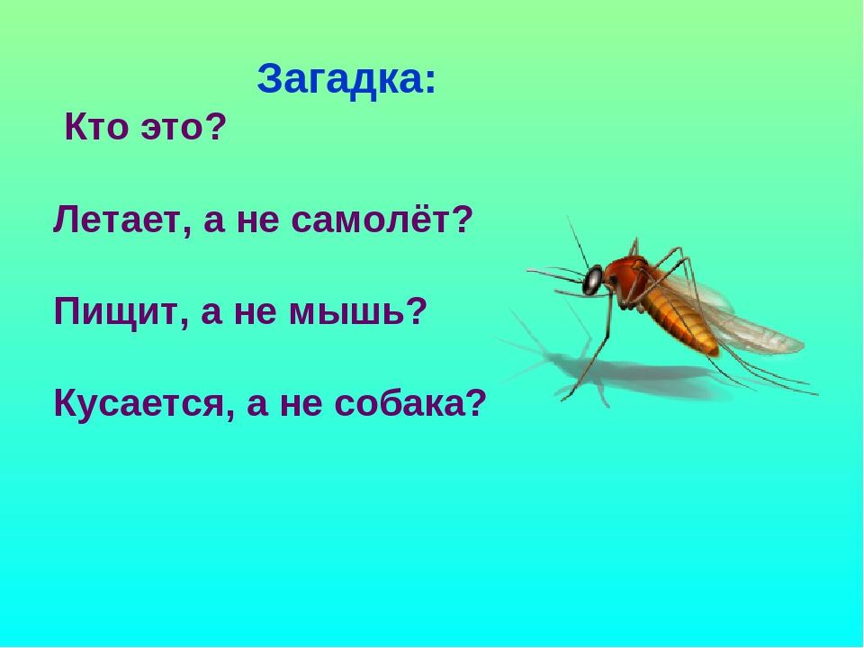 Презентация по развитию речи