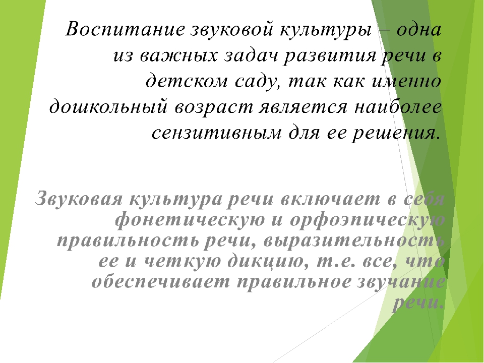 Презентация на тему "Воспитание звуковой культуры речи у детей дошкольного возраста"