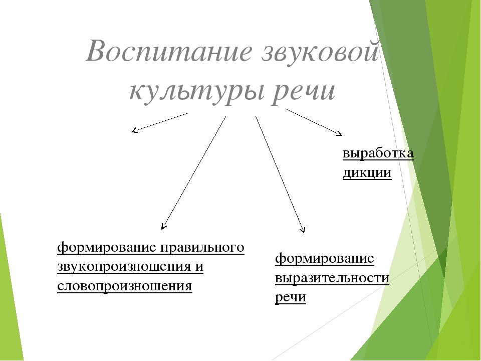 Презентация на тему "Воспитание звуковой культуры речи у детей дошкольного возраста"
