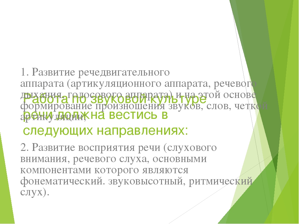 Презентация на тему "Воспитание звуковой культуры речи у детей дошкольного возраста"