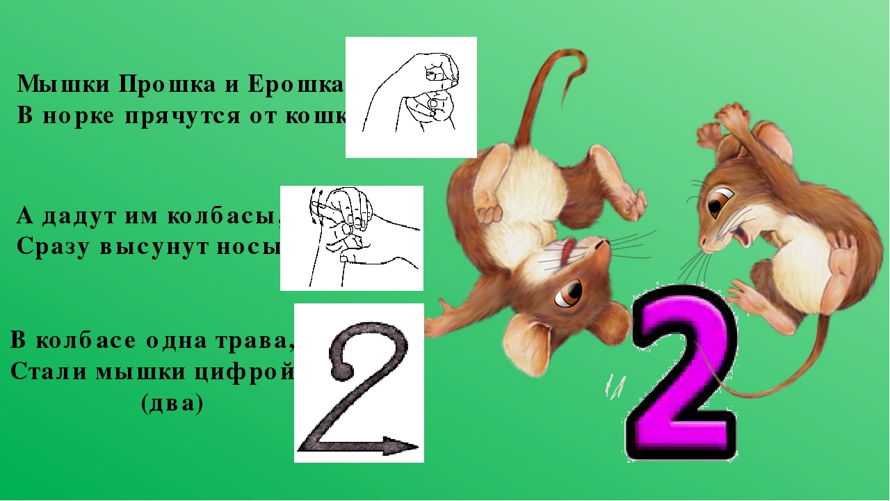 Пальчиковая игра водилочка "Цифры"