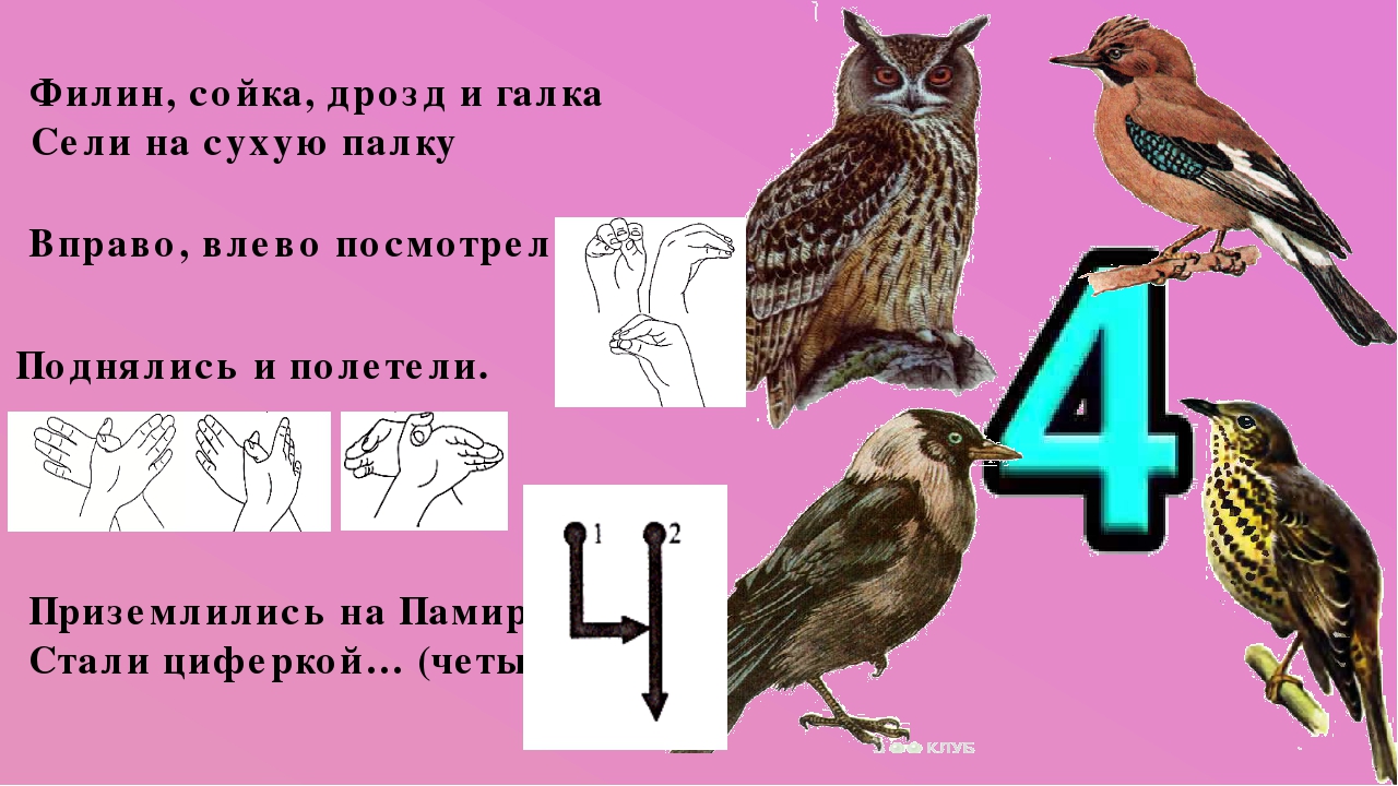 Пальчиковая игра водилочка "Цифры"