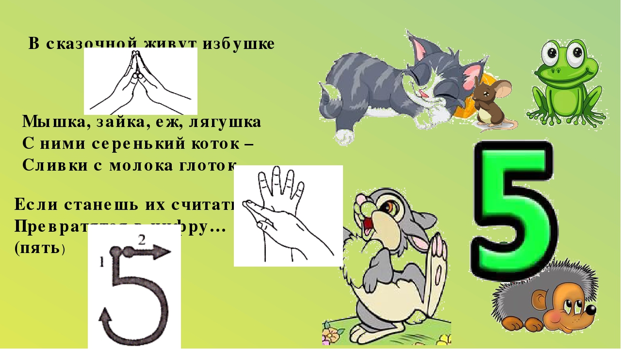 Пальчиковая игра водилочка "Цифры"