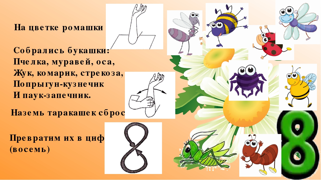 Пальчиковая игра водилочка "Цифры"