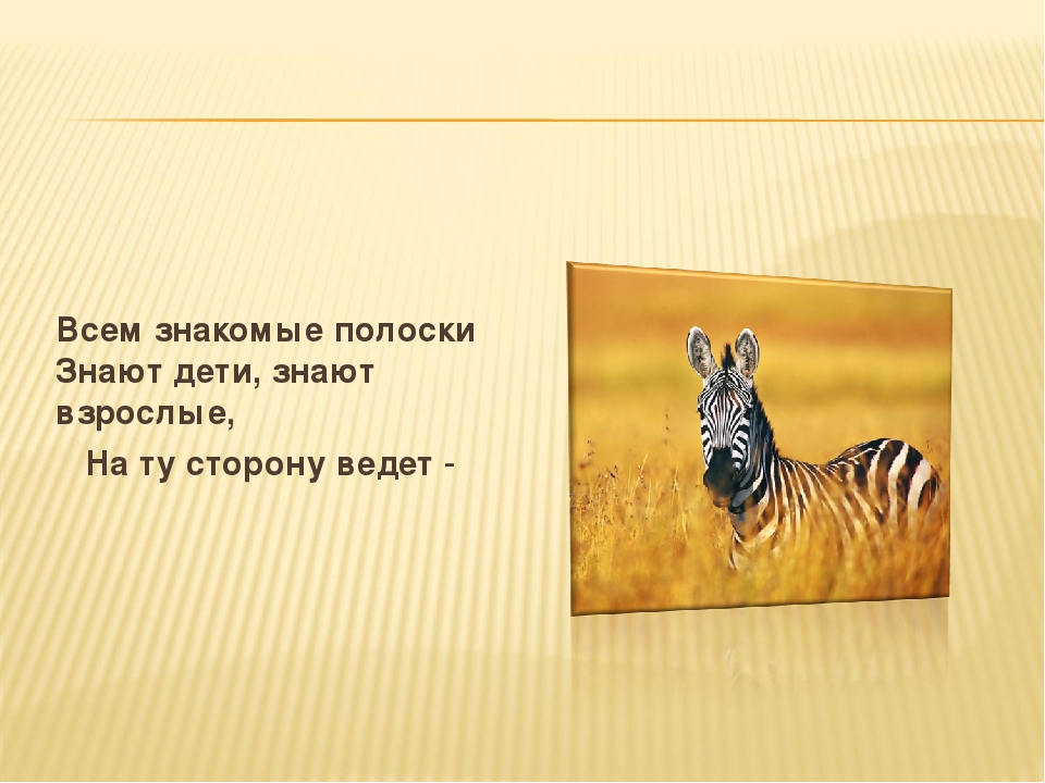 Презентация по ПДД "Викторина по ППД"