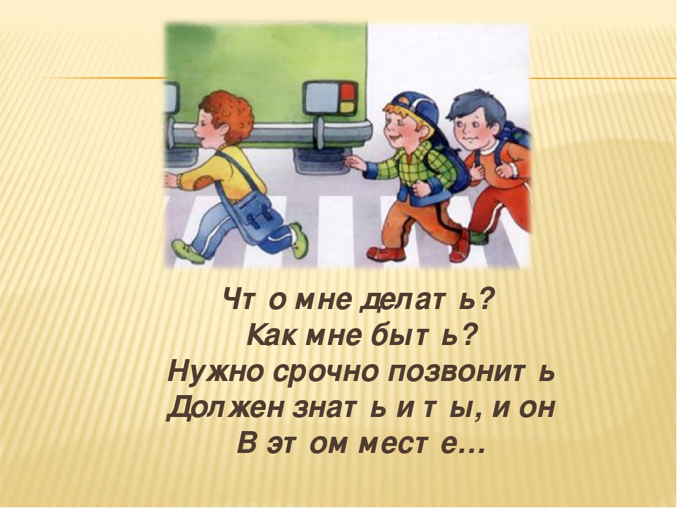 Презентация по ПДД "Викторина по ППД"