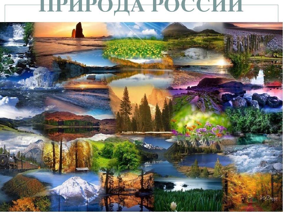 Презентация для дошкольников на тему :Я люблю тебя, моя Россия!"