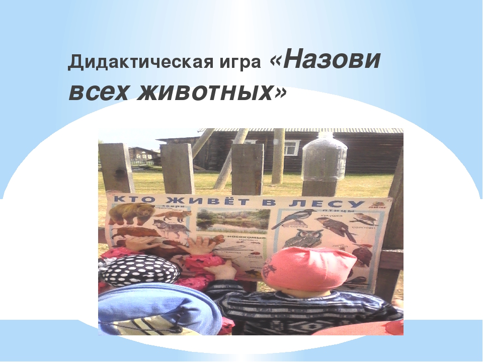 Презентация по экологическому воспитанию в детском саду