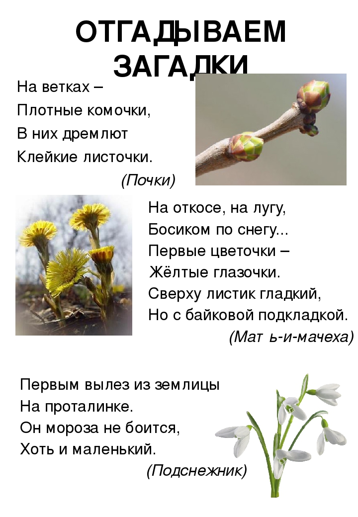 Наглядное пособие для родителей