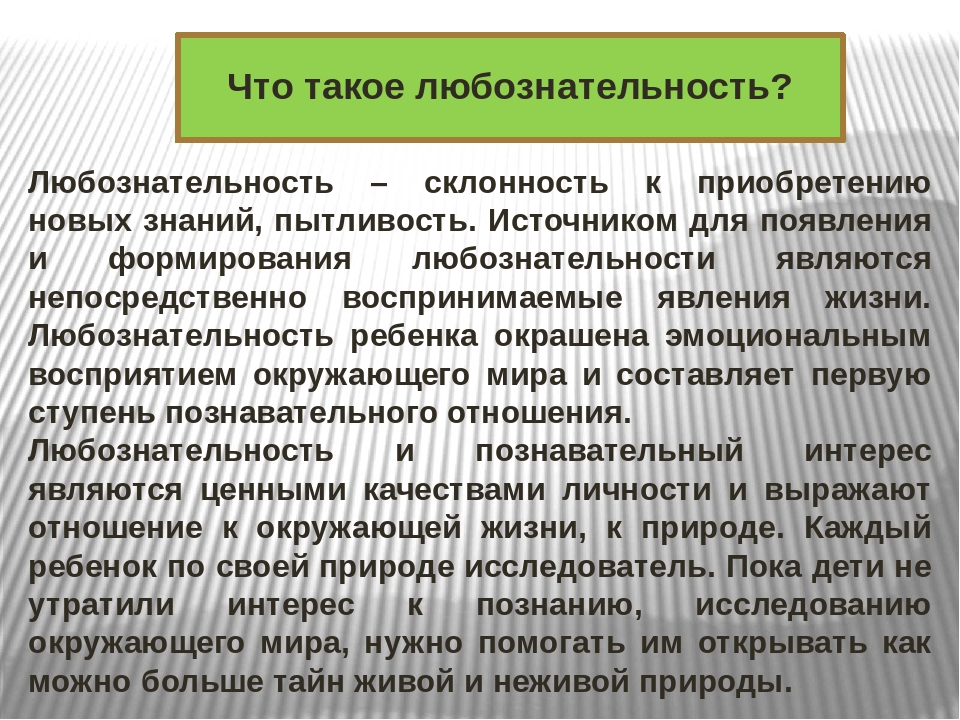 Презентация "Развитие любознательности у дошкольников средствами природы"