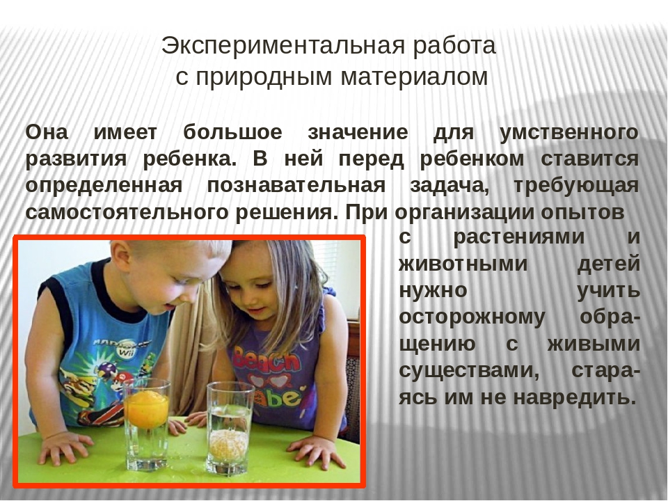 Презентация "Развитие любознательности у дошкольников средствами природы"