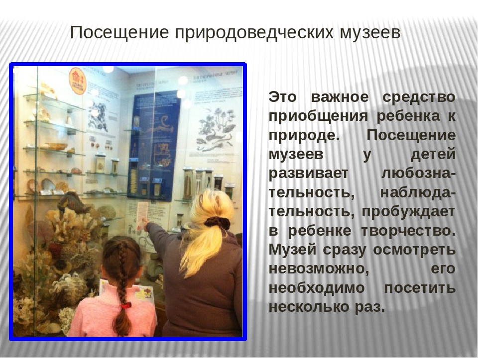 Презентация "Развитие любознательности у дошкольников средствами природы"