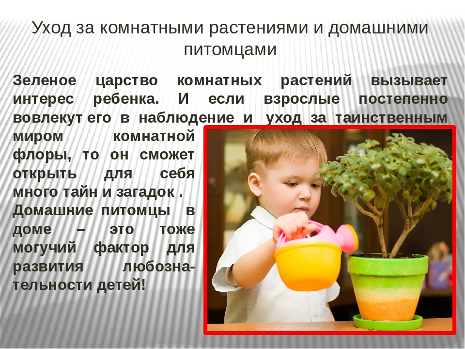 Презентация "Развитие любознательности у дошкольников средствами природы"