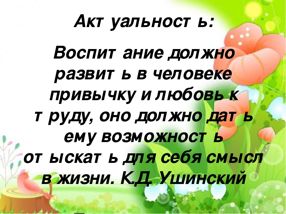 Проект " Маленькие помощники"