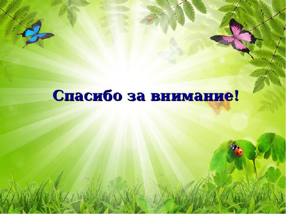 Проект " Маленькие помощники"