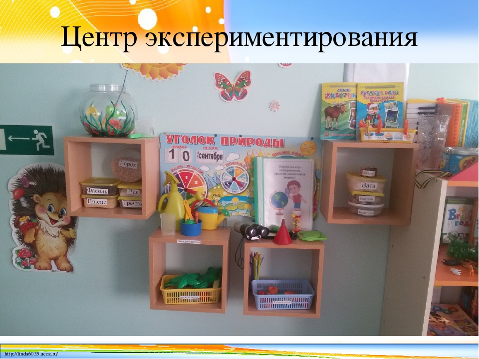 "Роль семьи в развитии поисково – исследовательской активности ребенка"