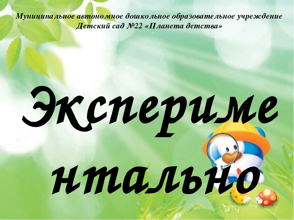 Проект в I младшей группе "Лук - зеленый друг"