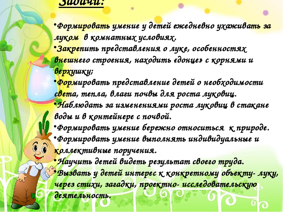 Проект в I младшей группе "Лук - зеленый друг"