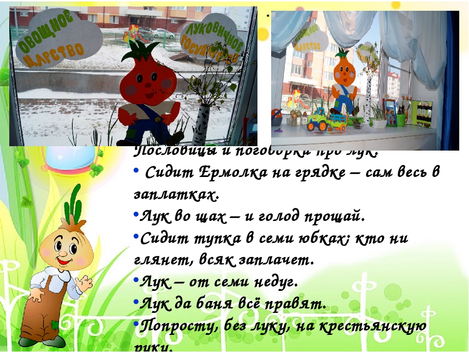 Проект в I младшей группе "Лук - зеленый друг"