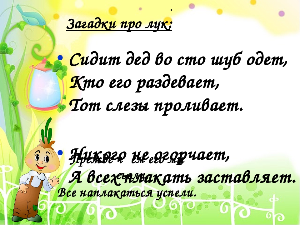 Проект в I младшей группе "Лук - зеленый друг"