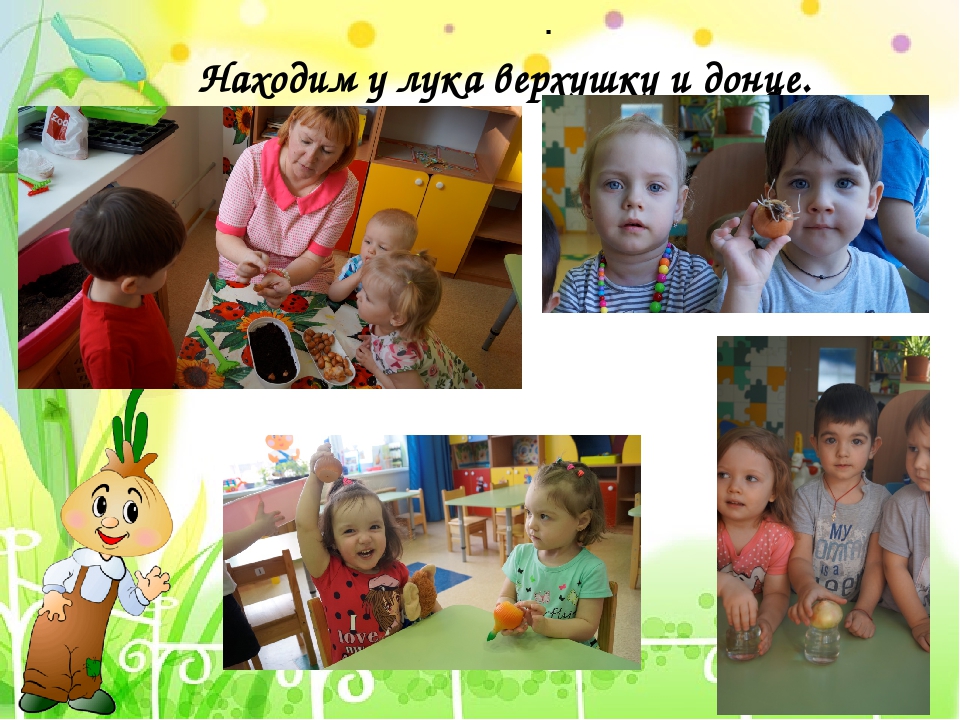 Проект в I младшей группе "Лук - зеленый друг"