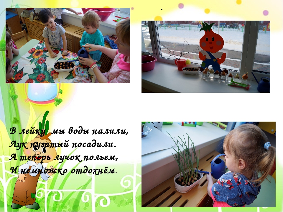 Проект в I младшей группе "Лук - зеленый друг"