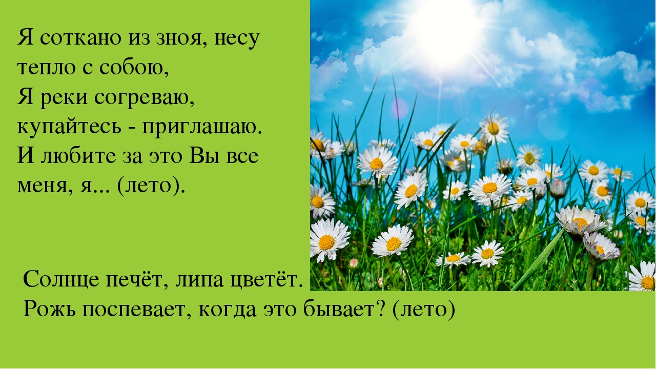 Солнце печет. Загадка про лето солнце печет липа цветет. Загадка я соткано из зноя несу тепло с собою. Загадки о лете на прозрачном фоне. Солнце печёт липа цветёт рожь поспевает когда это бывает.