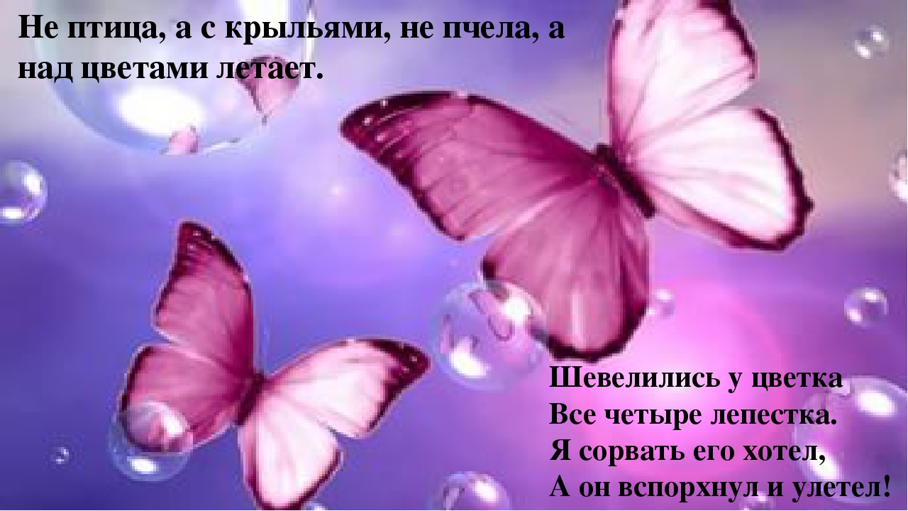 Загадки о лете для дошкольников