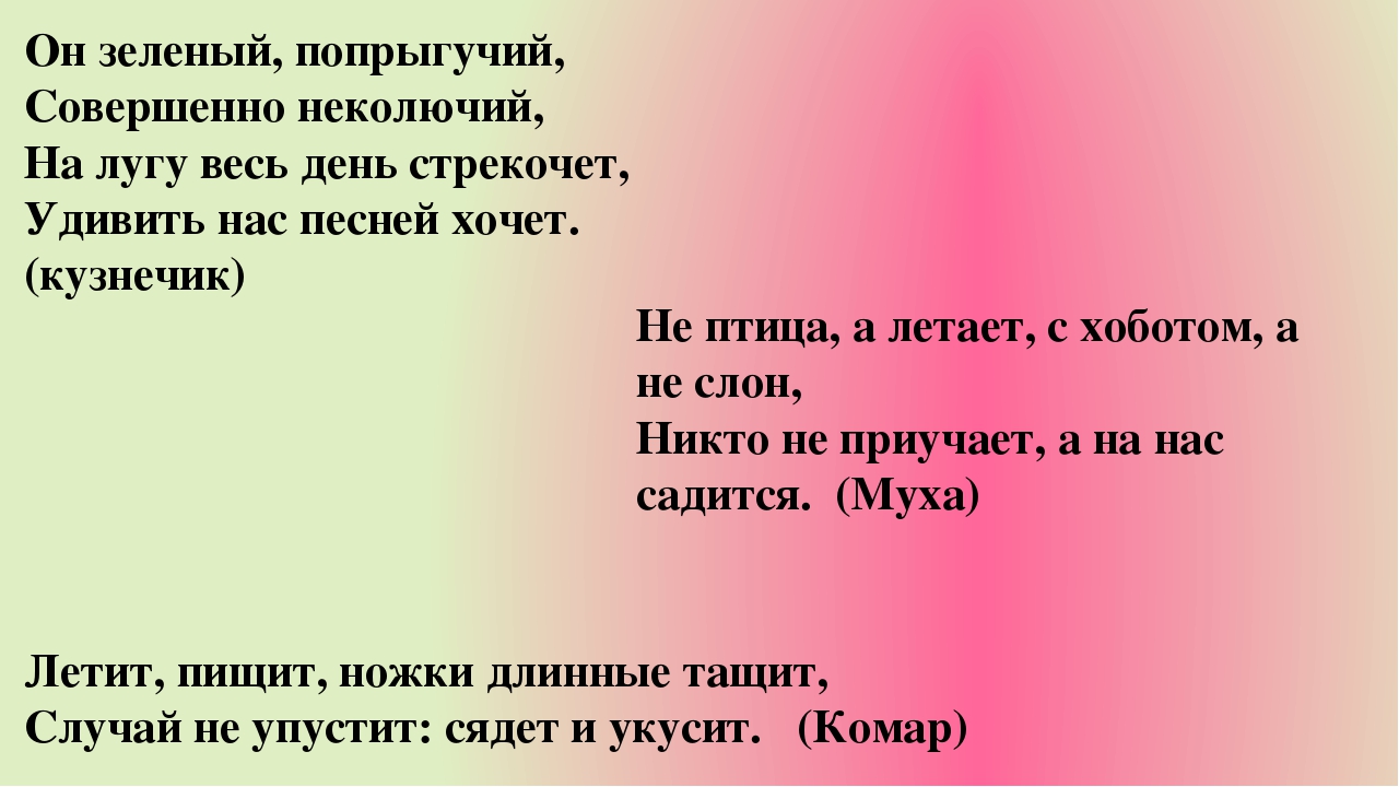 Загадки о лете для дошкольников