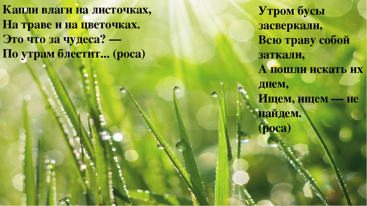 Загадки о лете для дошкольников
