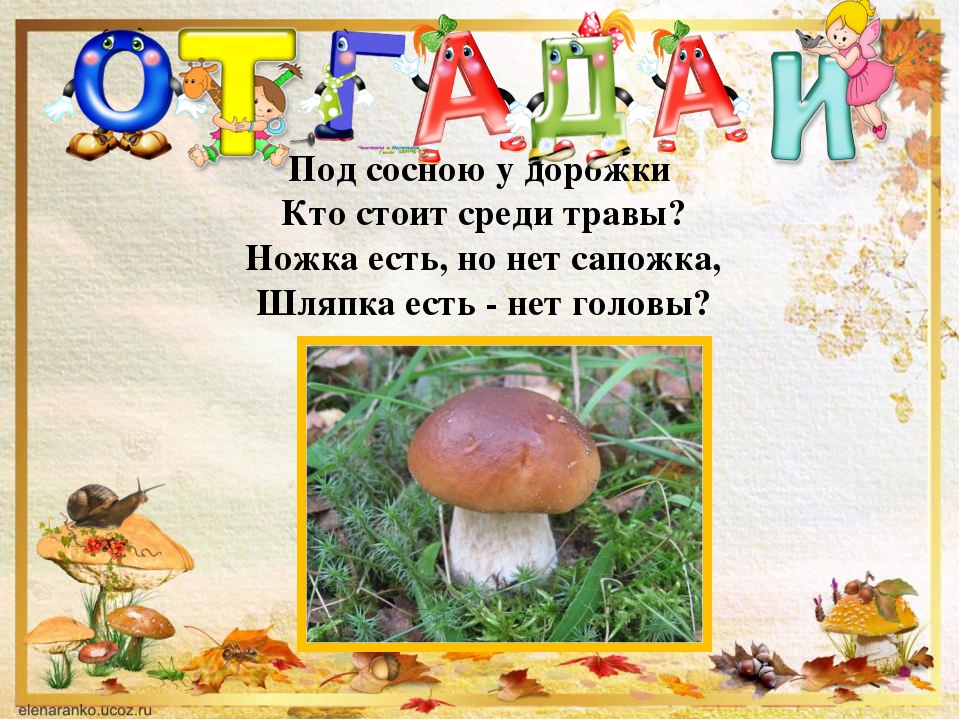 Презентации по ознакомлению дошкольников с миром природы