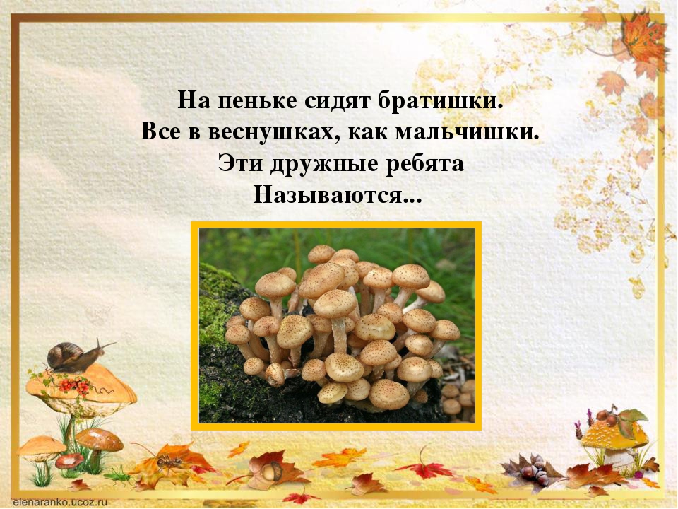 Презентации по ознакомлению дошкольников с миром природы