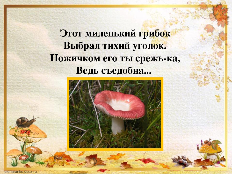 Презентации по ознакомлению дошкольников с миром природы