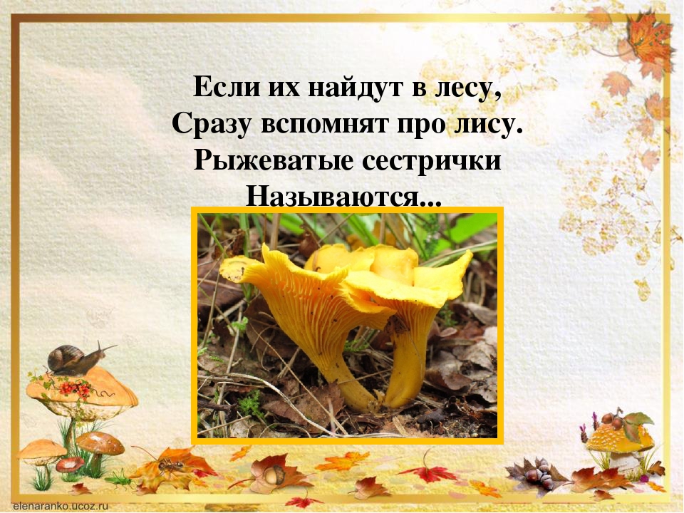 Презентации по ознакомлению дошкольников с миром природы