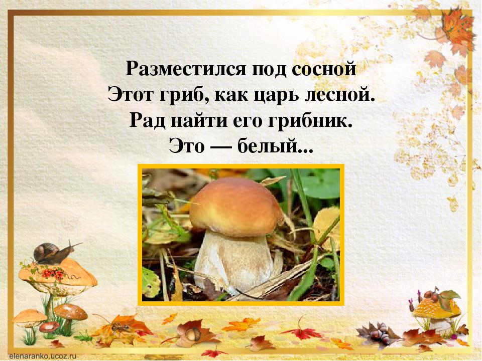 Презентации по ознакомлению дошкольников с миром природы