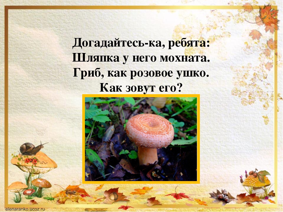 Презентации по ознакомлению дошкольников с миром природы