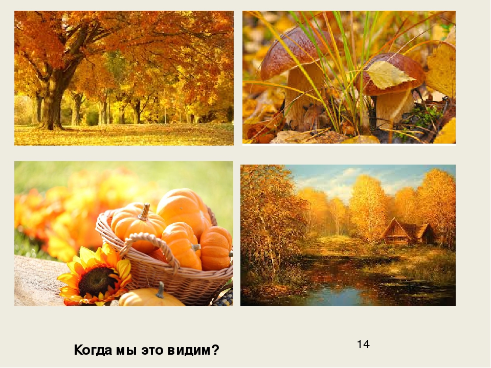 Учимся обобщать (скоро в школу)